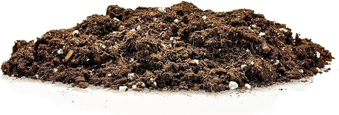 GARDENERA Citrus Tree Potting Soil Mix, Special Blend for Indoor Oranges, Lemons, Limes and More - (3 Quart Bag)
