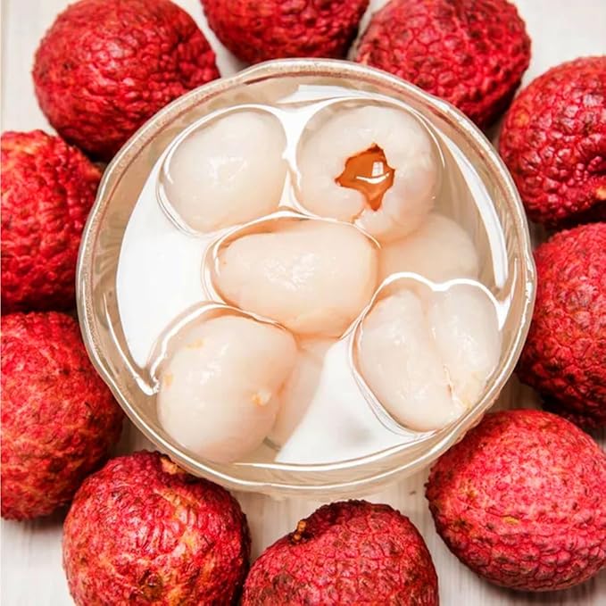 15+ Tropical Fruit Litchi Seed for Planting Outdoors-Fresh Organic Lychee Seed Non-GMO Heirloom for Home Outdoor Garden