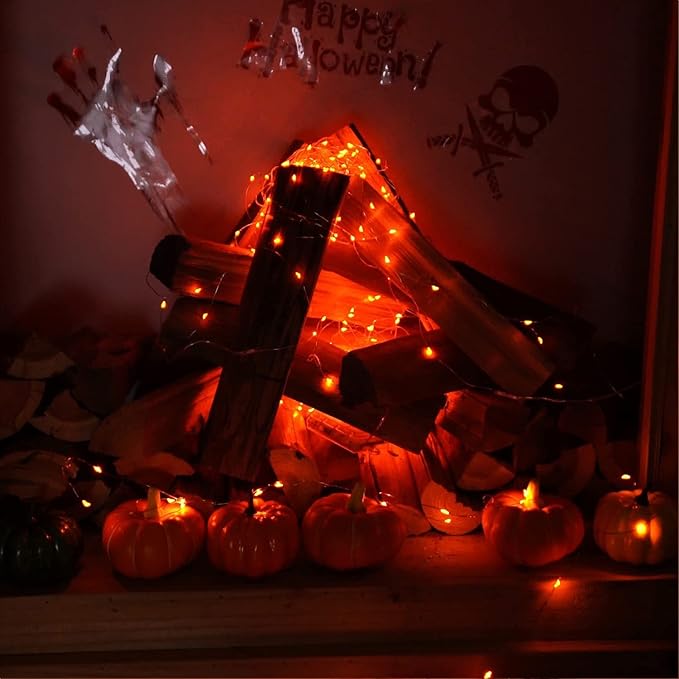 RUICHEN Silver Wire 33 Ft 100 LED USB Fairy String Lights with On/Off Switch (Orange)