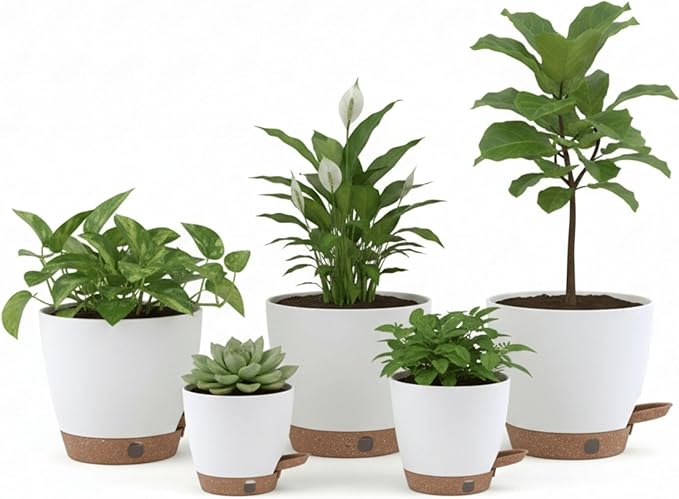 montresor 5-Pack Self-Watering Planters with Wick & Reservoir (5/5.5/6/6.5/7 Inch) – Plastic Indoor Pots with Drainage, White Flower Pot for Violet, Herb