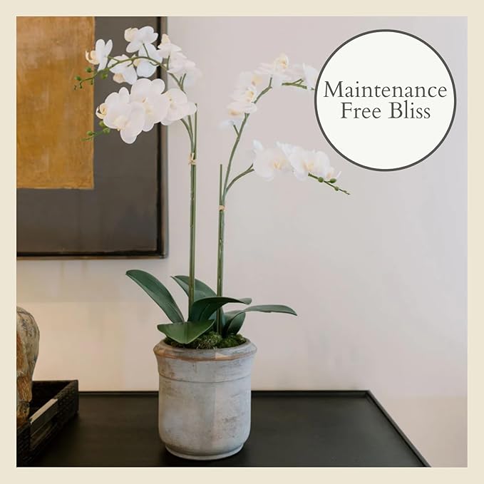 CG Hunter Faux Phale White Orchid Plant, Premium Artificial Indoor Flower Display Stands 24”, Beautiful Sculptural Blooms That Lasts Forever, Grey Planter Pot Included