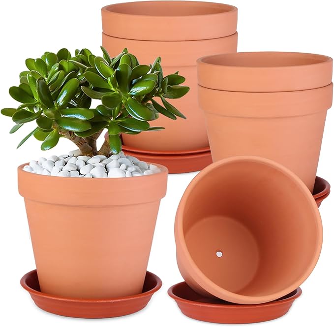 Tuqaumu 6 Pack 6 Inch Terracotta & Clay Pots with Saucer for Plants, Large Terra Cotta Plant Pot with Drainage Hole, Flowerpot for Indoor Outdoor Plants, Crafts, Wedding Favor