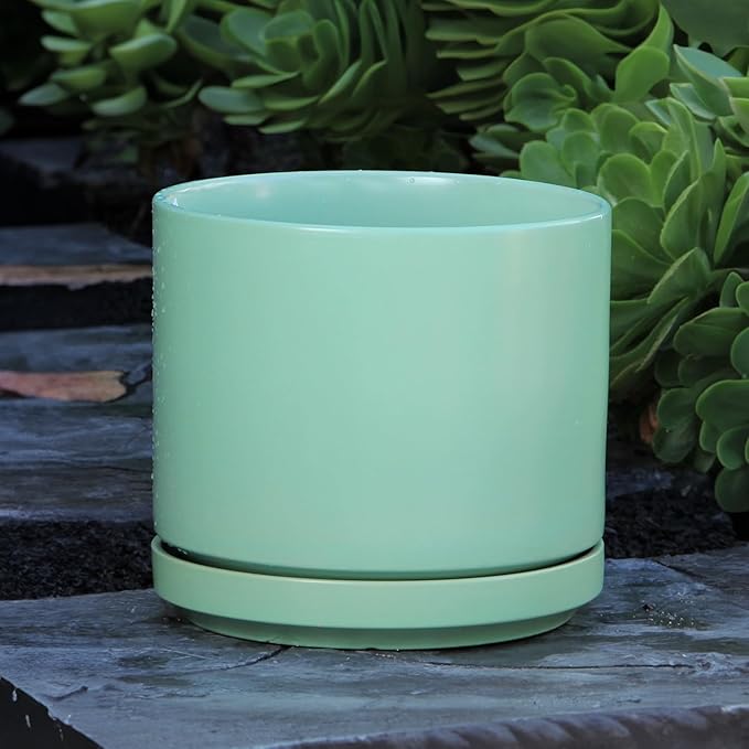 PLANTATOREM Ceramic 10 Inch Mid Modern Planter Pot with Drainage Hole and Saucer, Indoor Cylinder Round Flower Pot, Perfect for Planting Succulents, Herbs, Flowers, House Plants, Tea Green