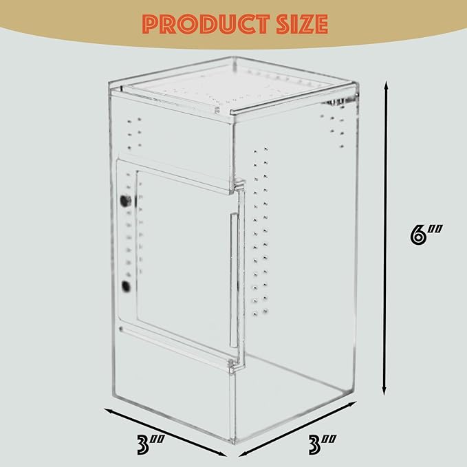 maiyuolg Reptile Tank 3x3x6 Terrarium – Acrylic Reptile Enclosure for Gecko, Jumping Spider, and Praying Mantis – Compact Tree-Dwelling Terrarium for mini Pets