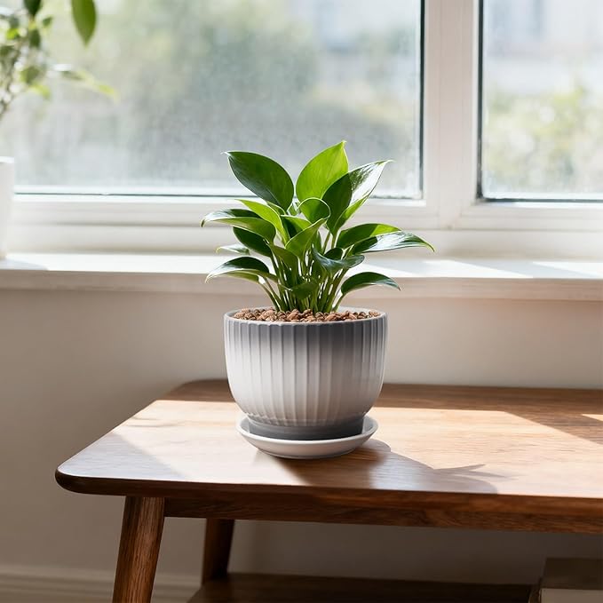 Ceramic Plant Pots,6.7 Inch,Set of 2,Planters with Drainage Hole and Saucer,Flower pots for Indoor Plants,Modern Design(Gray+White)