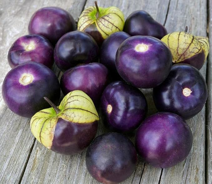 Seeds Purple Cape Gooseberry Goldenberry Groung Cherry Physalis Non GMO Vegetable for Planting