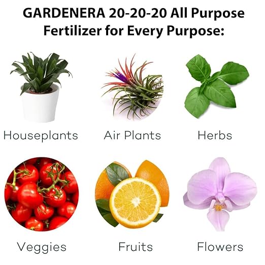 𝐁𝐄𝐒𝐓𝐒𝐄𝐋𝐋𝐄𝐑 20-20-20 Water-Soluble Fertilizer – Powder for Liquid Plant Food for Indoor & Outdoor Plants, Orchids, Vegetables, Lawns, Flowers – 20 20 20 Fertilizer - 5 Quarts