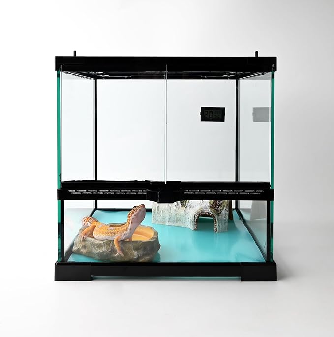 waazoorep Reptile Glass Tank 12"*12"*12" Terrarium Habitat with Double Hinge Door and Top Screen Ventilation for Bearded Dragon,Lizard,Leopard Gecko,Snake,Hermit Crab with Carpet and Hygrothermograph