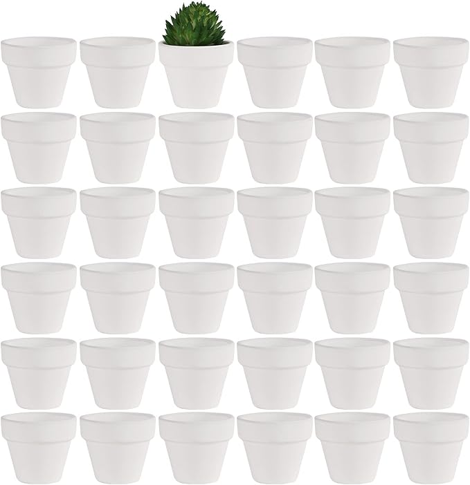 Yishang 1.9 Inch Tiny White Terracotta Pots Pack of 36-Small Mini White Clay Pots with Drainage Holes Flower Nursery Terra Cotta Planter for Tiny Cactus,Herb,Succulent Plants,Crafts