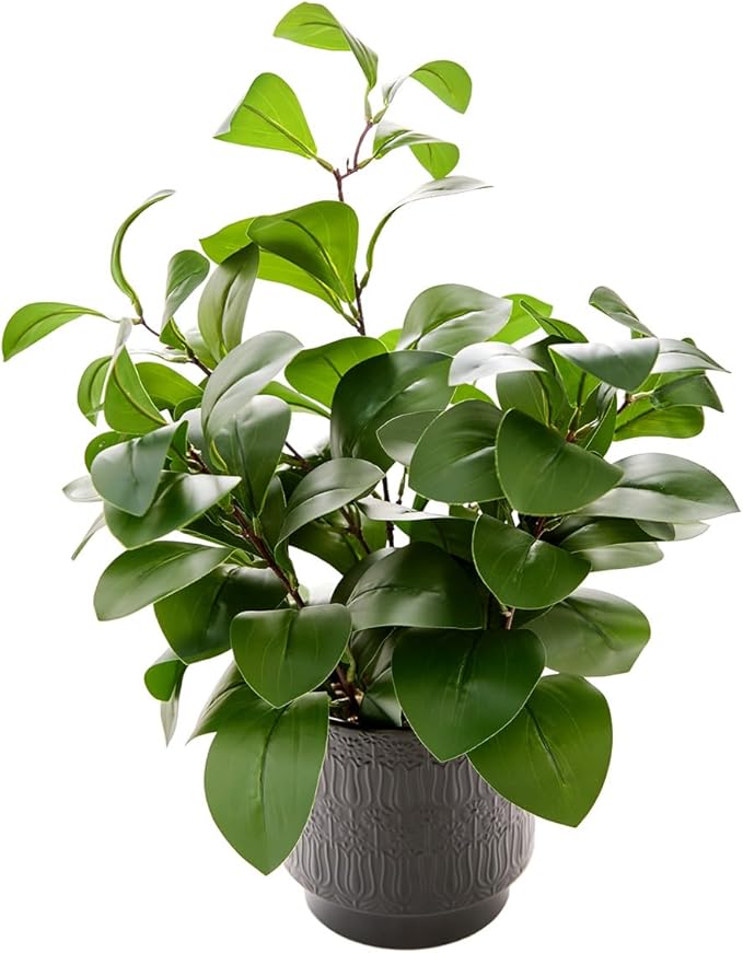 Ewtogift 19" Artificial Ficus Plant in Textured Black Ceramic Planter Tall Faux Plant with Deep Green Leaves for Modern Home Office Shelf Bathroom Tabletop Indoor Decor