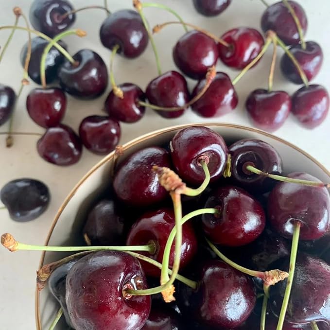 40 Pcs Black Cherry Tree Seeds, Fruit Tree Seeds for Planting, Prunus Serotina Dwarf Cherry Tree with Edible Black Cherries Non-GMO Fruit Seeds for Planting
