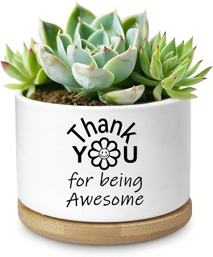 Aryabtya Thank You Gifts for Women, Succulent Planter, Flower Cactus Plant Pot, Employee Appreciation Gifts for Coworkers Nurse Friends Women, Thank You for Being Awesome (No Plants)