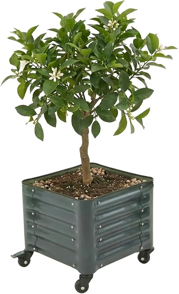 Vego garden Classic Rolling Citrus Tree Planter – 1.75' Mobile Metal Raised Garden Bed for Patio, Deck, Balcony – Deep Planting Space, Durable & Easy to Move (Modern Gray, 1.75'X1.75')