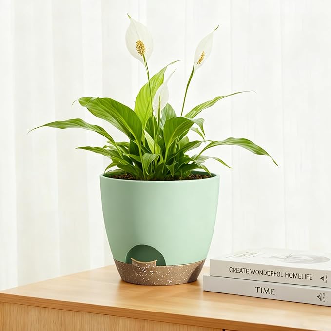Hylitong Plant Pots 8/7.5/7/6.5/6 Inch Self Watering Pots,5 Pack Planters with Drainage Holes and Saucers,Plastic Flower Pots,Nursery Planters for Indoor Outdoor Plants (Green)