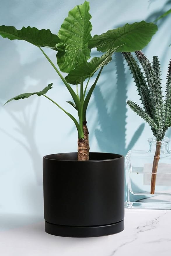 Ceramic Plant Saucer Pot Tray 10 Inch, Planter Saucers 4 5 6 7 8 9 10 11 12 13 Inch for Indoors Outdoor, Durable Sturdy Flower Drainage drip Water Tray for Glazed Pots Base (10.7 Inch-Black)
