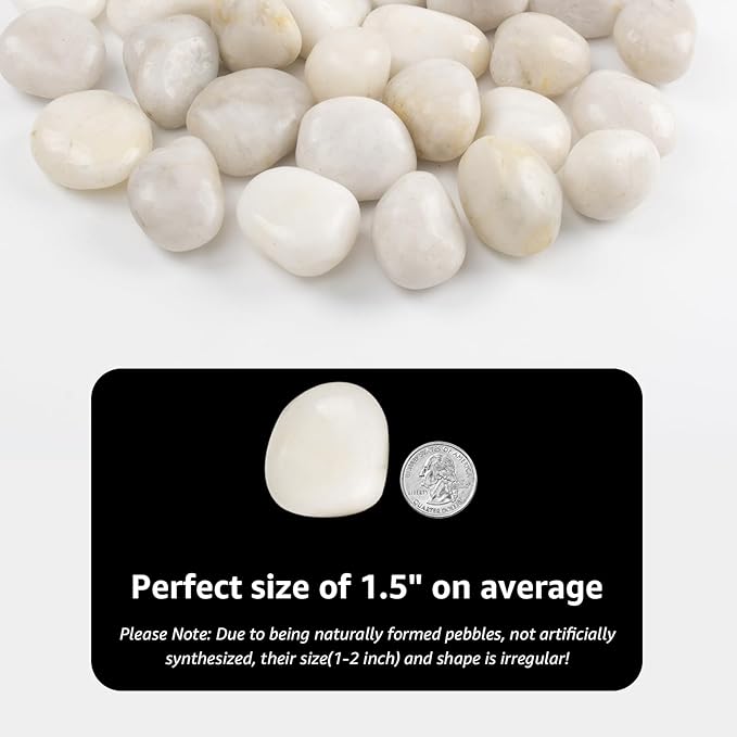 LOOIOOJ 40lbs White River Rocks - 1-2Inch Natural White Rocks for Potted Plants, Decorative Rocks for Landscaping, and River Rocks for Aquariums (Weight : 40 LB, White)