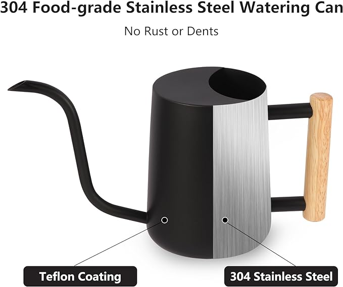 Plant Watering Can,35oz Metal Watering Can,Stainless Steel Indoor Plants with Long Curved Spout,Small Bonsai Outdoor Garden Modern Decorative(Black)