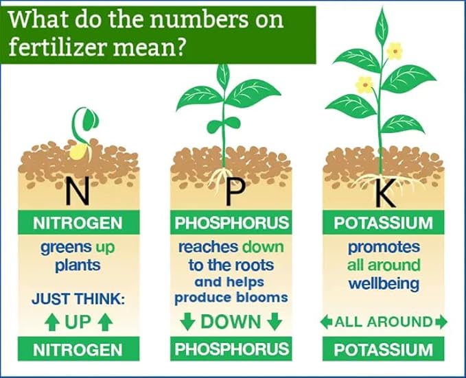 Gardenera 6-6-6 All-Purpose Professional Plant Food Fertilizer | Ideal for Winter Care & Spring Feeding, Perfect Balanced NPK for Indoor and Outdoor Plants [8 OZ]