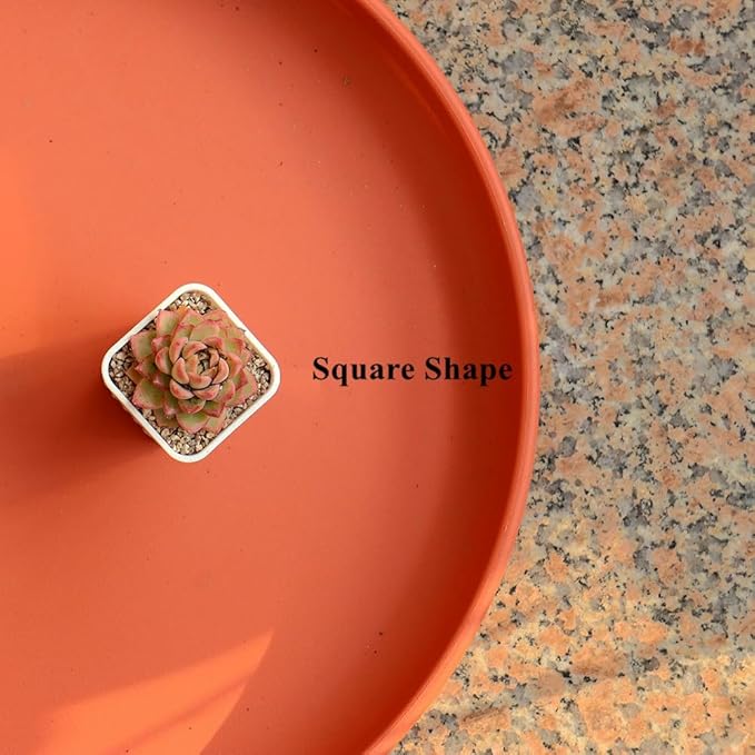 BangQiao 180 Pack 1.95 Inch Tiny White Plastic Square Nursery and Seedling Pot, Mini Deep Transplant Seed Starter Planter with Drain Hole for Germination, Herb, Succulent