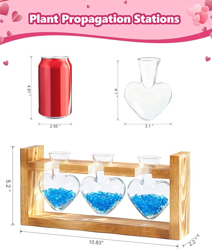 Nacome Plant Terrarium Propagation Stations: Valentines Day Gifts for Her Plant Lovers Women Mom Wife Daughter - 3 Bulb Glass Vase with Wooden Stand Tabletop for Hydroponics Indoor Office Home Decor