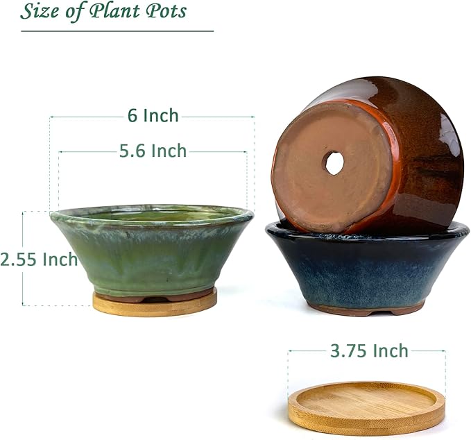 Summer Impressions 6 Inch Glazed Terracotta Succulent Pot Planter Small Plant Pot with Drainage Hole and Bamboo Saucer Cactus Ceramic Pot Set of 3 (Blue Green Orange)