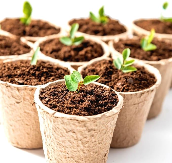 100-Pack 4 Inch Organic Peat Pots for Seed Starting Pots - Biodegradable Plantable Nursery Pots with Drainage Holes, Small Seed Starting Starter Tray, Eco-Friendly & Compostable Seedling Containers
