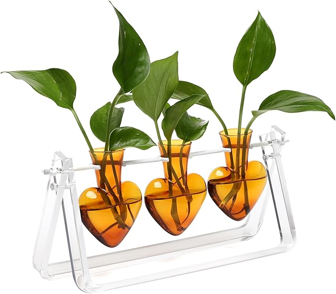 CYZglass Clear Plant Terrarium Propagation Stations with Acrylic Stand Birthday Gifts for Women Office Home Decor