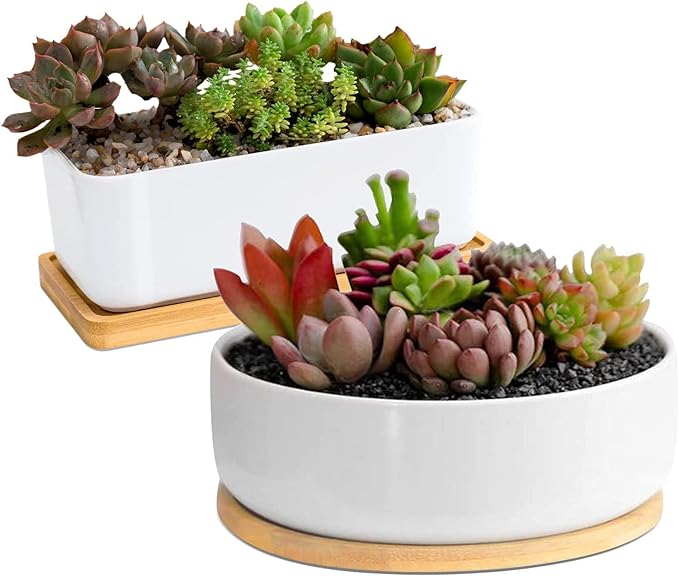 ARVINKEY White Ceramic Succulent Plant Pots, 1 Rectangular Flower Pot + 1 Round Planter, Set of 2 Small Cactus Container, Bonsai Pots, Succulent Pots with Drainage Hole& Bamboo Tray (No Plant)