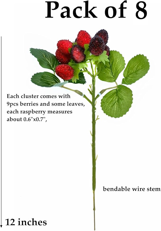 M2cbridge Artificial Raspberry Red Berry Strawberry Faux Fruit BlackBerry Props Table Decoration (Red with Black,8PCS)
