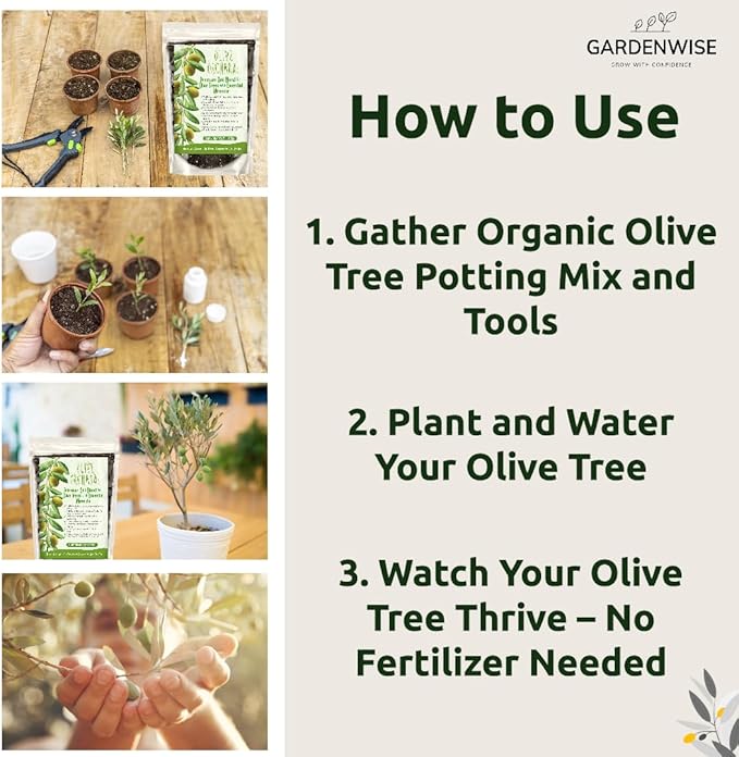 GARDENWISE Organic Olive Tree Potting Mix – Fast-Draining, Nutrient-Rich Soil for Indoor & Outdoor Olive Trees – Mediterranean Plant Care – Long-Lasting Formula (4 QUARTS)