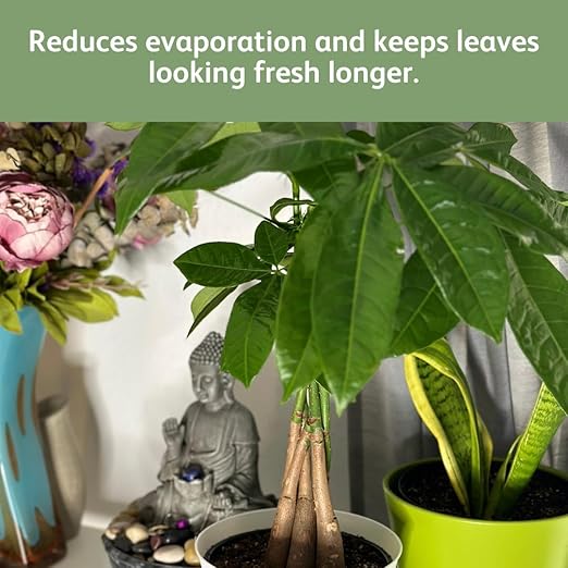 Chrysal LeafShine Spray for Indoor Plants (25oz 3 Pack)
