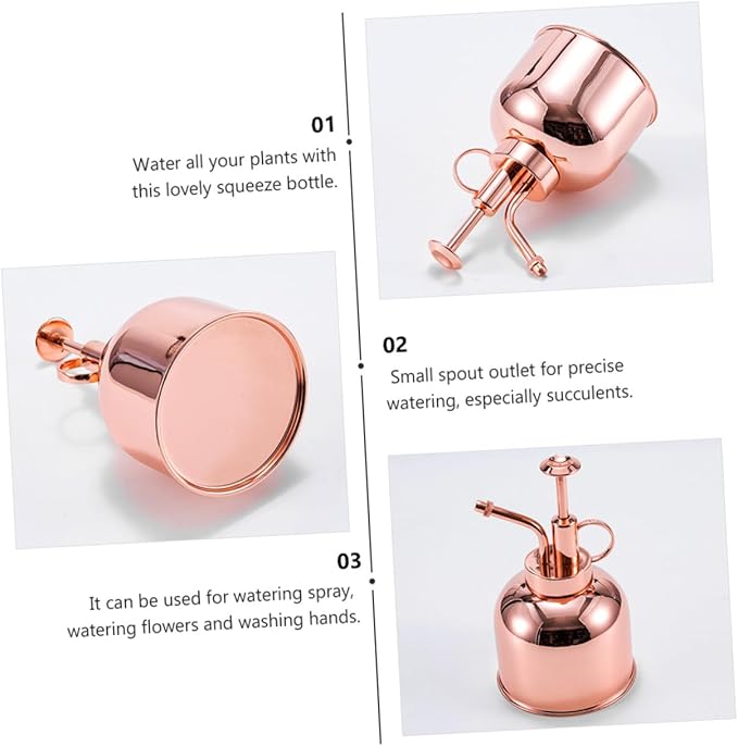 Vintage Plant Mister Watering Can with Pump for Succulents Indoor Gardening Portable Handheld Spray Bottle for Flowers and Plants