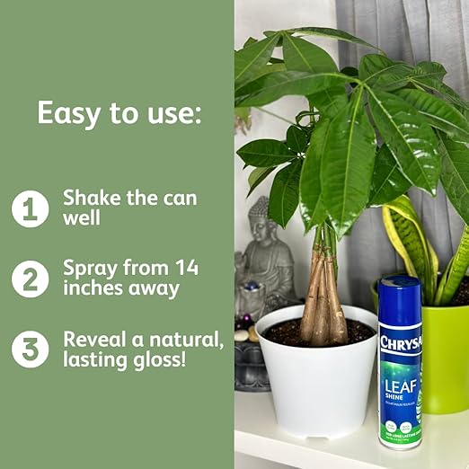 Chrysal Leafshine 5.6 oz (250 ml) Spray for Indoor Plants – Flower Arrangement Spray for Bouquets, House Plants & More – Environmentally Safe Dust Remover & Leaf Cleaner (3 Pack)