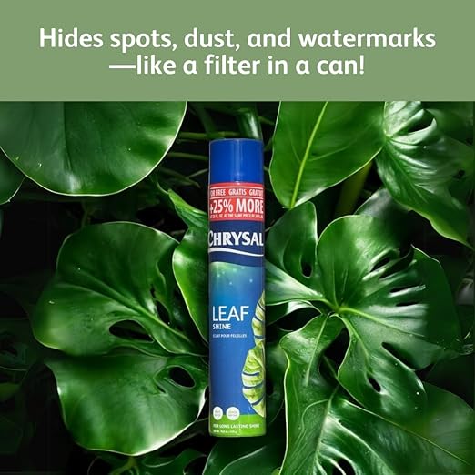 Chrysal Leaf Shine Spray for Indoor Plants (25 Ounce 1 Pack)