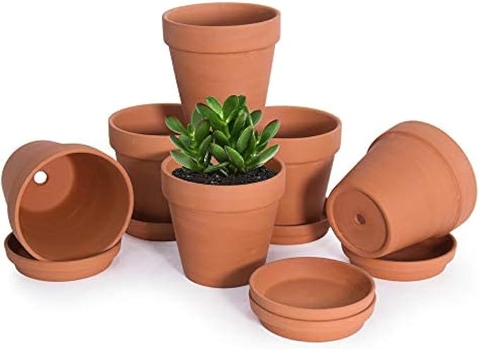D'vine Dev Pack of 6 Terracotta Pots with Saucers, 4 Inches Terra Cotta Pots with Tray, Clay Pots for Plants & Succulents, Terracotta, 588-A-1-4