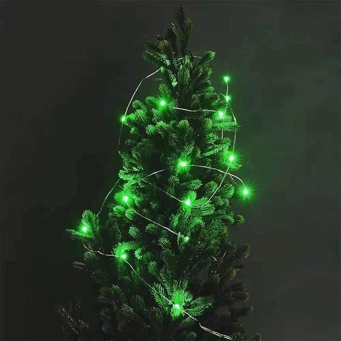 2 Pack Battery Operated Mini Led Fairy Light with Timer 6 Hours on/18 Hours Off for Christmas Decoration,30LED,10 Feet Silver Wire (Green Color)