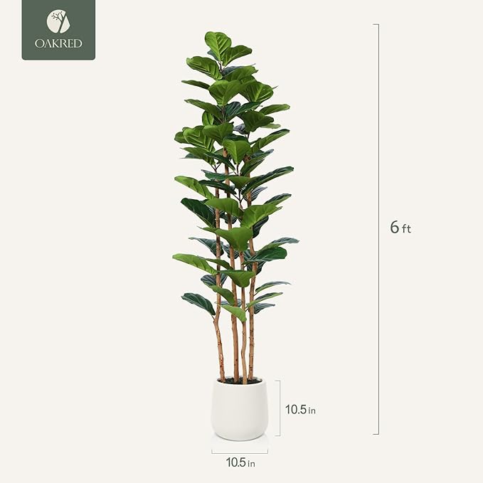 OAKRED Artificial Fiddle Leaf Fig Tree with White Planter, 6ft Tall Fake Tree with Natural Wood Trunk for Home Decor, Faux Ficus Tree Fake Moss for Indoor Office Living Room