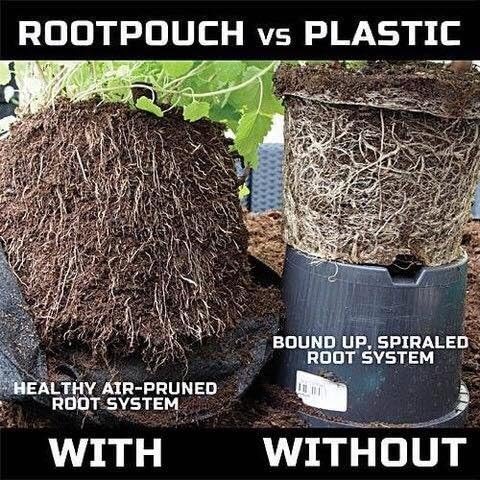 MAUI MIKE'S Root Pouch 10 Gallon/ 10 Pack Heavy Duty Grow Bag. Plant Fabric Pots with Handles. Grow Fabric Pots & Bags for Tomatoes,Vegetables and Flowers. Made from Recycled Water Bottles.