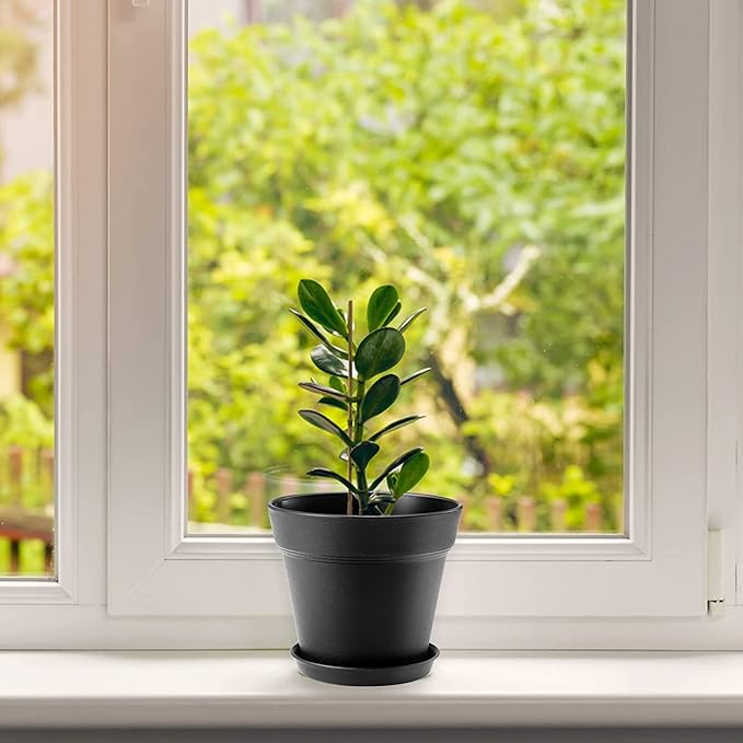 FHWTY 4 Inch Plastic Plant Pots 6 Pack, Small Flower Pots with Drainage Holes and Tray, Thickened Indoor Planters Seedlings Nursery Pots, African Violet, Succulent and All House Plants, Black