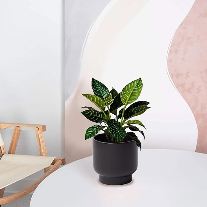 LB Black Ceramic Plant Pot for Indoor Plants, Succulent Planters Ceramic Plant Pots, Modern Flower Pots for Living Room Office Home Decor, Round Flower Pot of 4.3 Inch(Plant Not Included)