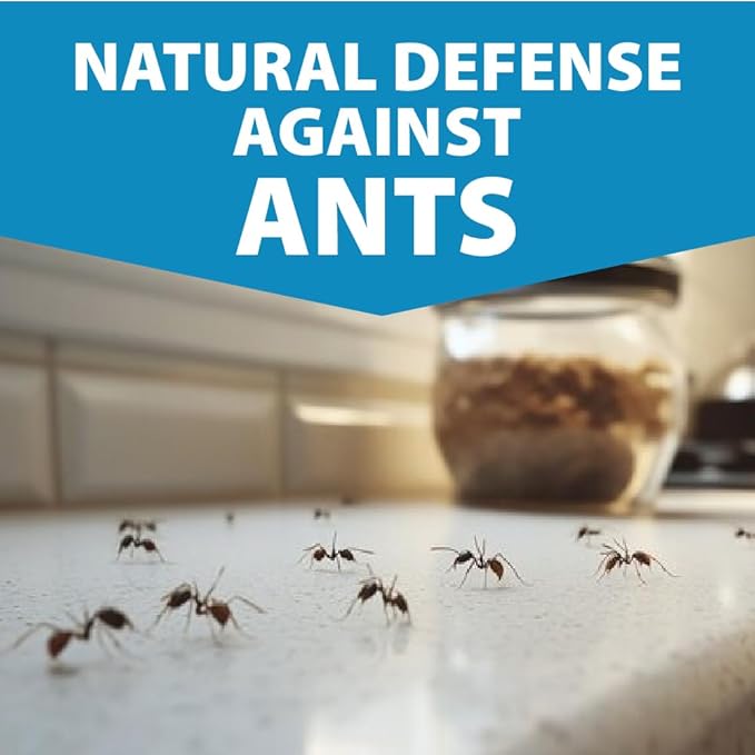 LizzAway Ant Killer Spray Indoor Outdoor Use - Plant-Based Formula with Lemongrass Oil and Geraniol - Kid & Pet Safe Ant Killer Spray - Natural Ants Repellent and Prevention for Home, Car, & Outdoors