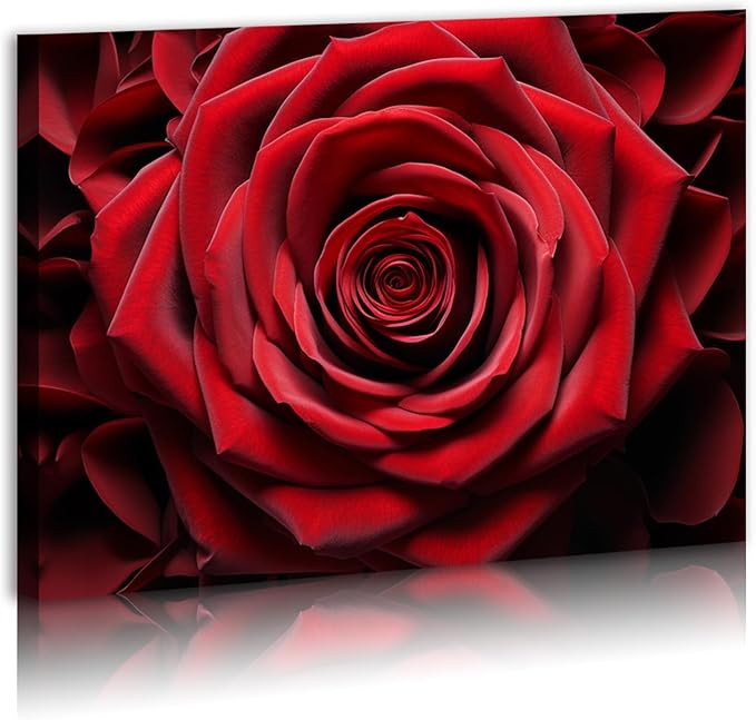 Red Rose Close Up Detail Modern Framed Flowers Giclee Canvas Prints Red Romantic Rose Flower Nature Floral Photography Realism Botanical for Living room Bedroom Bathroom 12"x16" Framed