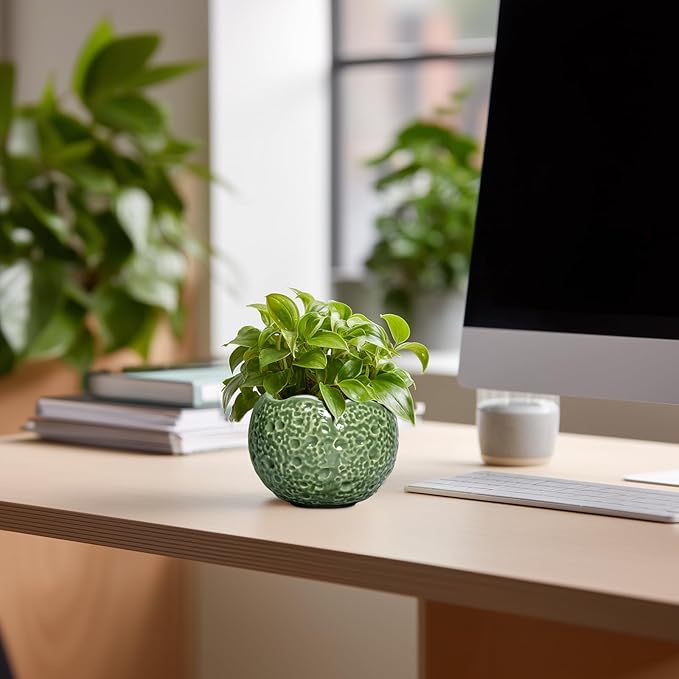 Thirtypot Ceramic Plant Pots - 4 inch Plant Pot with Drainage Hole, Small Pots for Plants Indoor Outdoor, Unique Round Planter, Modern Decorative Flower Pot, Room Decor, House Warming Gifts, Green