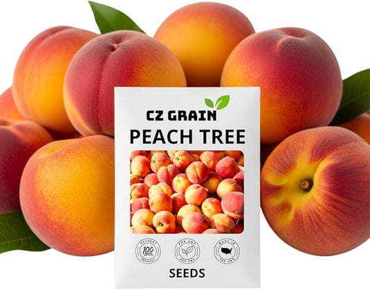Peach Tree Seeds – Easy to Grow, Hardy, Delicious Fruit, Perfect for Garden Planting, Beginner-Friendly, Fast-Growing, Ideal for Fresh Peaches & Cooking (8 Seeds)