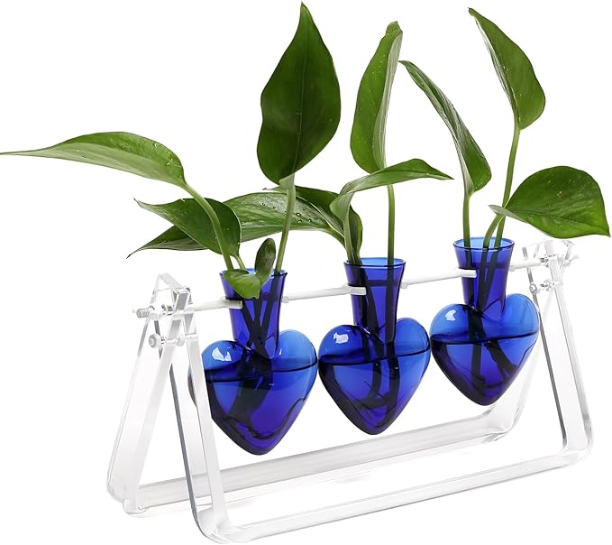 CYZglass Clear Plant Terrarium Propagation Stations with Acrylic Stand Birthday Gifts for Women Office Home Decor