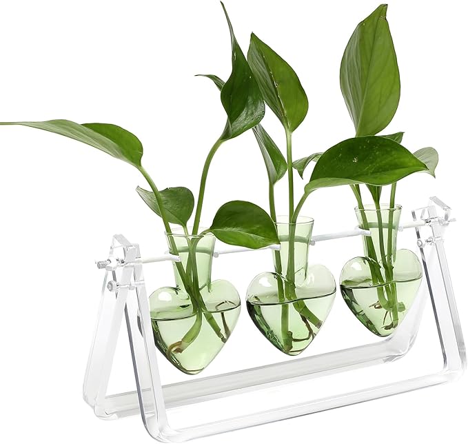 CYZglass Clear Plant Terrarium Propagation Stations with Acrylic Stand Birthday Gifts for Women Office Home Decor