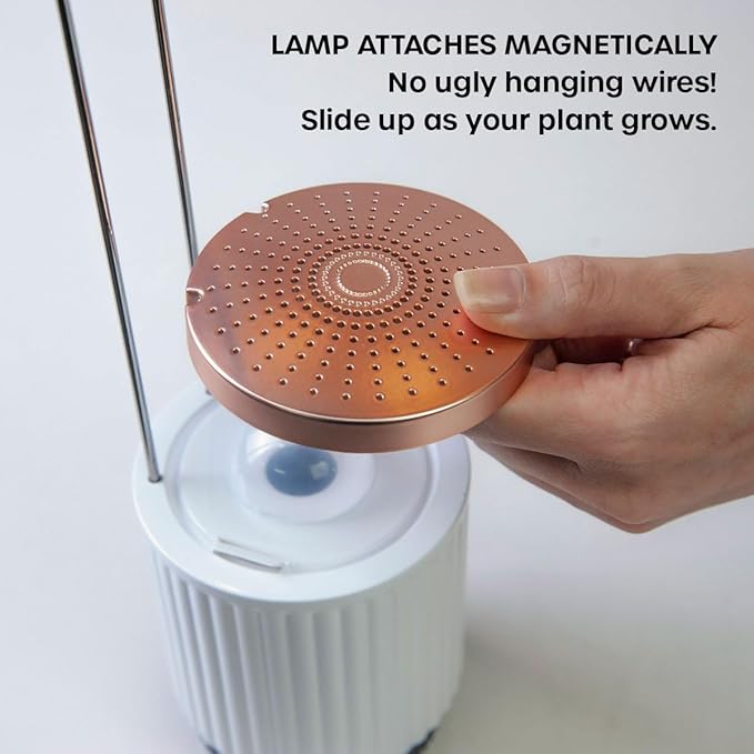 Mini Smart Planter Kit with Petunia Plant Pods by Click&Grow, Hydrovase Indoor Garden, Self-Watering Pot with Grow Light (Grey)