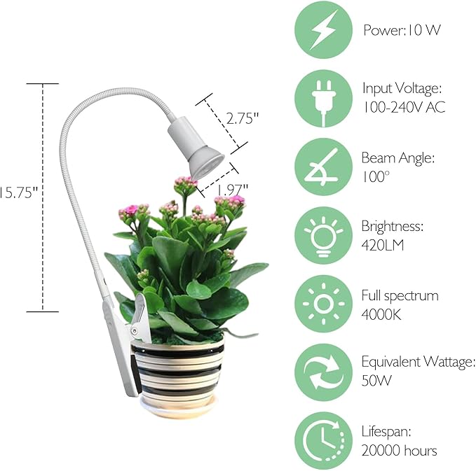 Soliseed LED Clip on Grow Light 10W Full Spectrum 4000K, Small Plant Light with Timer, 10 Dimming Levels, Cactus Grow Lights, Inside Spotlight with Flexible Gooseneck Plant Lights, 2pack