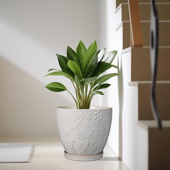 MPotTo 10 Inch Plant Pot Ceramic Planter Pot with Drainage Hole and Saucer Round Planter Large Flower Pot for Indoor Outdoor Plants Home Garden Decor White