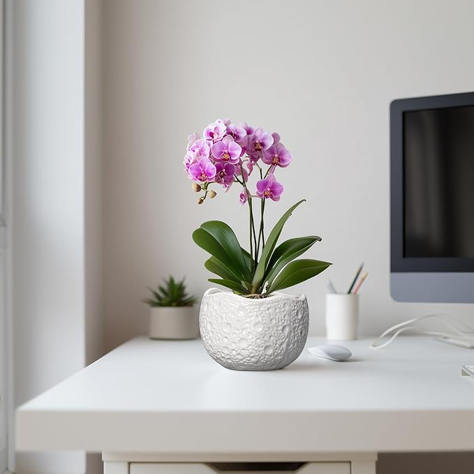 Thirtypot Ceramic Pots for Plants - 6 Inch Plant Pot for Indoor Outdoor, Decorative Orchid Pots with Drainage Hole, Unique Round Modern Planters, Home Decor, Gifts for Plant Lovers, White